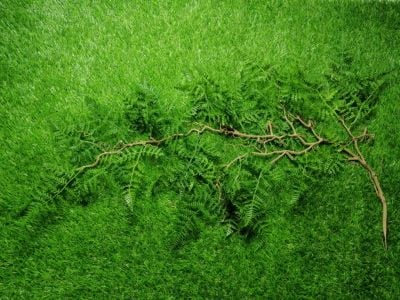 ZO Ghillie Crafting Ferns (Summer Green) - Detail Image 1 © Copyright Zero One Airsoft