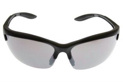 Guarder Protection Glasses 2005 Version