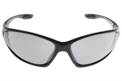 Guarder Protection Glasses 2006 Version